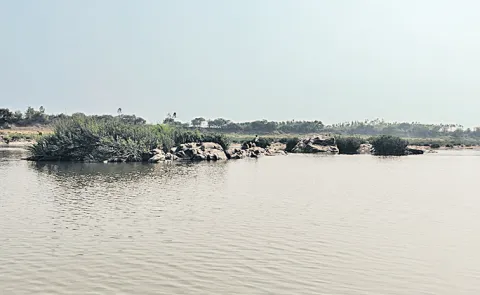 Tragedy occurred on Friday at the Andhra Pradesh Telangana border