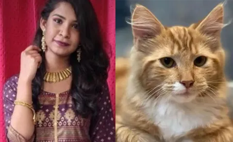 Hyderabad Doctor Dies After Family Object To Adopting A Cat