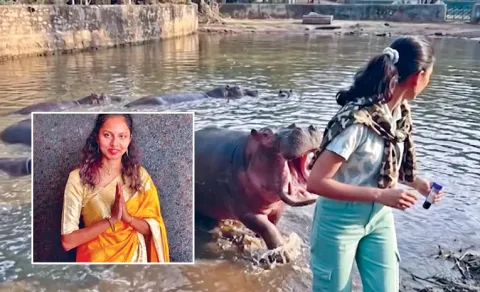 Horrific Hippo Attack in Shivamogga Safari