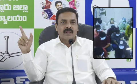 Kakani Govardhan Reddy Comments On Tdp Radha Krishnama Naidu