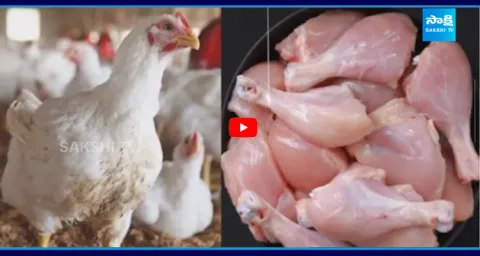 Chicken Prices Hike Telangana Meat Production Report 2026 1