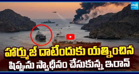 Iran Captured US Ship at Strait of Hormuz 1