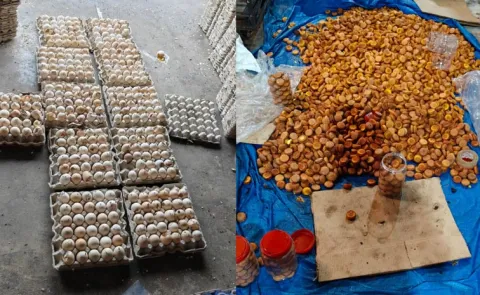 Police Raid Adulterated Food Manufacturing Unit In Katedan