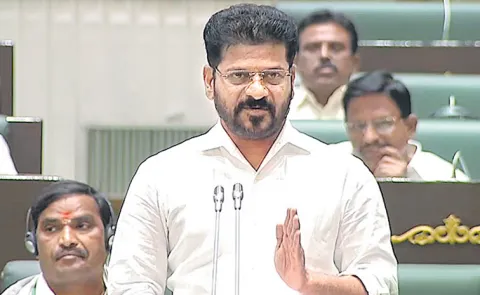 CM Revanth Reddy Comments At Telangana Legislative Assembly