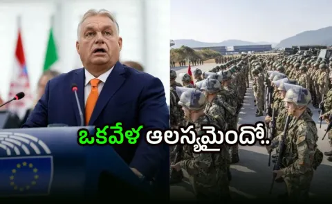 Nato should join US to end Iran war before global crisis hits: Experts