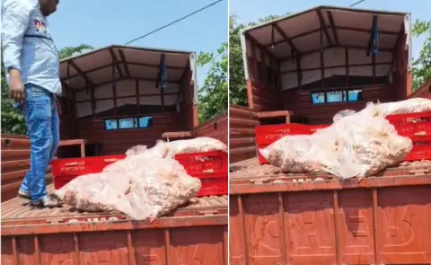 Hyderabad Task Force Seizes 352 Kg of Rotten Chicken