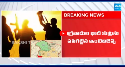 72-Hour Terror Plot Targets Army Convoys in Kashmir, High Alert Issued 1