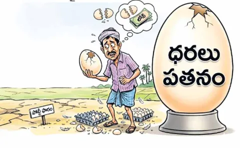 Egg exports to Gulf countries halted