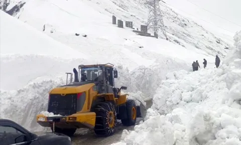5 bodies found after massive avalanche at Ladakh