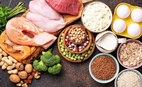The highest in protein food and its benefits
