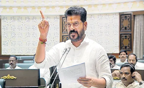 CM Revanth Reddy Comments At Telangana Legislative Assembly On Mining
