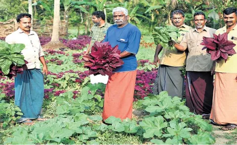 From cooking in waiting shed to organic farming ...