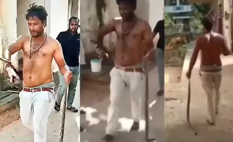  Man Into Hospital With Snake In Hand