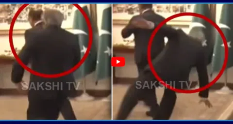 Pakistan Deputy PM Ishaq Dhar Falls While Welcoming Egyptian FM 1