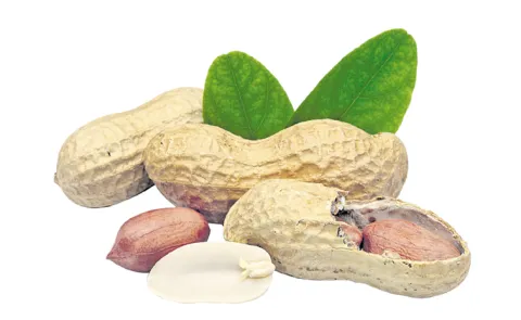 AP Farmers Fires On Chandrababu Govt