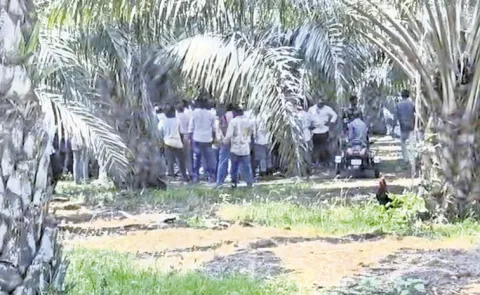cockfights in Andhra Pradesh