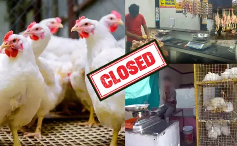 Chicken Shops to Shut Down in Telangana April 1st