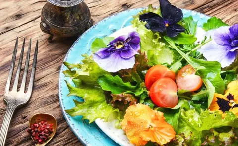 Health Tips: Do you know these flowers can be eaten as food?