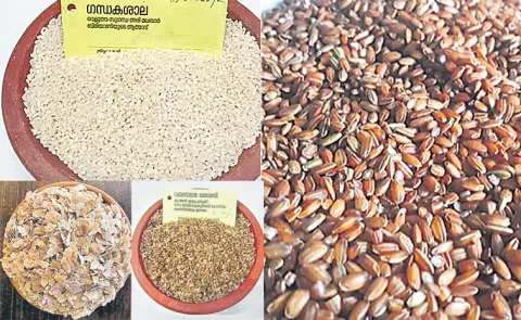 Sagubadi: Thirunelly Agri Producer Company Limited special story