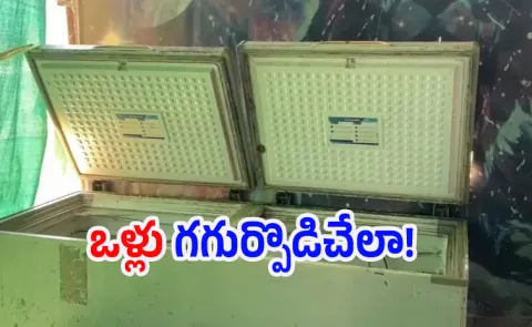 Missing Mans Body Found in Deep Freezer at Veg Biryani Shop in Lucknow