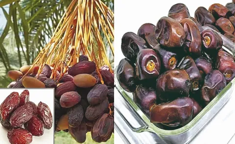  Import significance of datesfor Ramzan month 