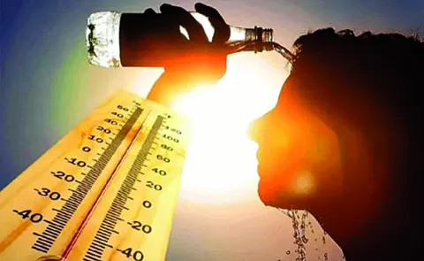 Meteorological Department says impact of heatwaves will increase in this summer