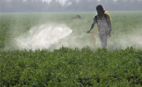 Paraquat Poisoning: Symptoms And Treatment12