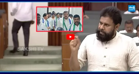 Deputy CM Pawan Kalyan Shocking Comments On YSRCP MLAs  1