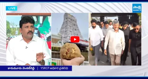 Karmuru Venkat Reddy About TDP Leaders Comments Over Tirupati Laddu 1