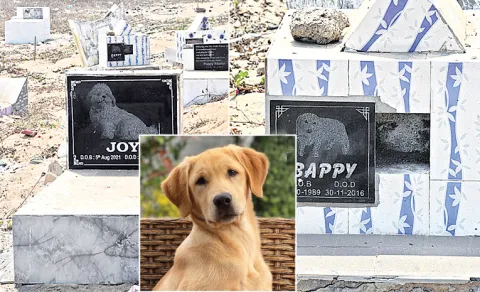 visakhapatnam dog graves on beach pet lovers emotional story