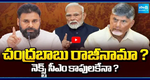CM Chandrababu Fear Of Central Govt On Resignation 1