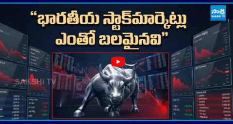 Indian Stock Markets Collapse  1