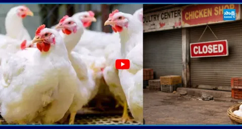 Huge Shortage Of Chicken In Hyderabad 3