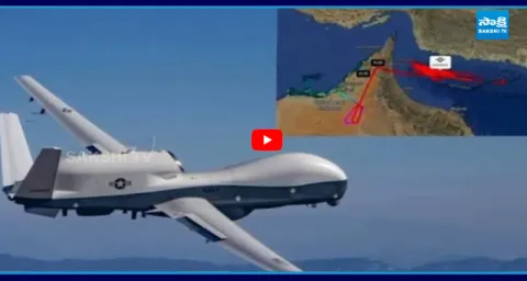MQ-4C Triton, US' $200-Million Drone, Disappears Over Strait Of Hormuz 1