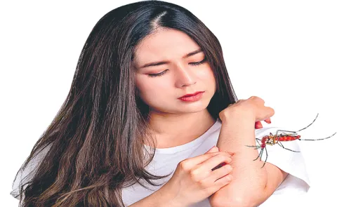 Protect Ourselves from Mosquito Bites