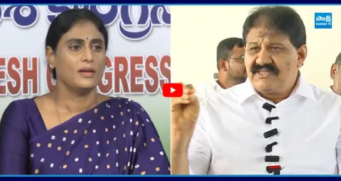 Rachamallu Siva Prasad Reddy Strong Counter to Sharmila Comments On YS Jagan 1