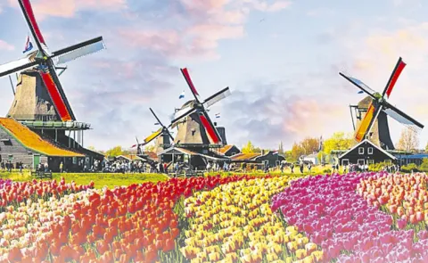 Keukenhof will be open from March 19 to May 10 202614