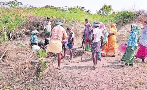 TDP Leaders Looting for MGNREGA Funds: Andhra Pradesh