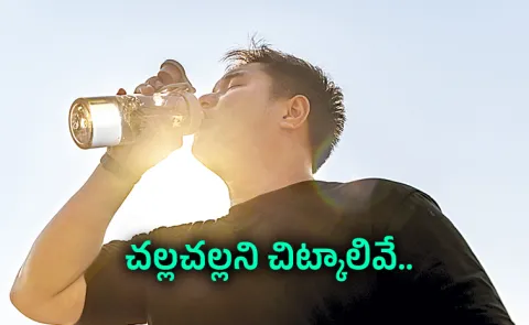 Sakshi Funday Special Story: Top tips for keeping cool in hot weather15