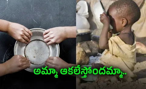 Millions in war-ravaged Sudan surviving on one meal a day, say NGOs