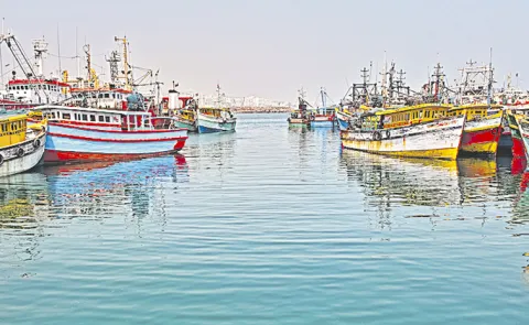 61 day deep sea fishing ban begins april 15 in ap