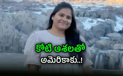 Indian woman killed in road crash in US could not be saved even after 3 surgeries