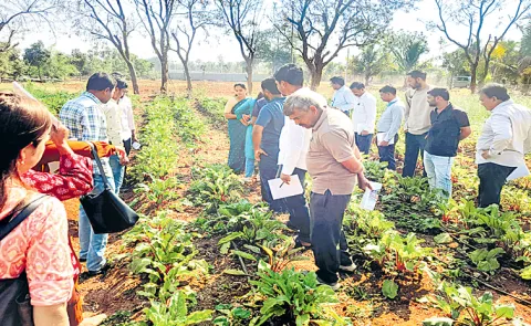 Training on establishment of biological resource centers April 21 to 23