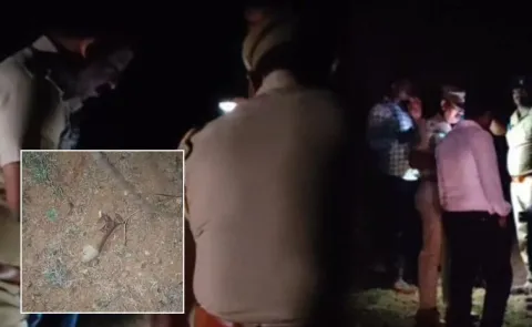 Student Kicks Unexploded Bomb During Trek In Tamil Nadu