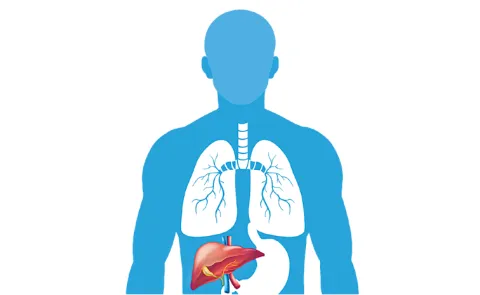 Lancet study says Fatty liver problems are rising in india
