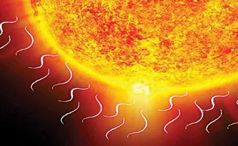 Disaster Management Department sends circular to district collectors on high temperatures