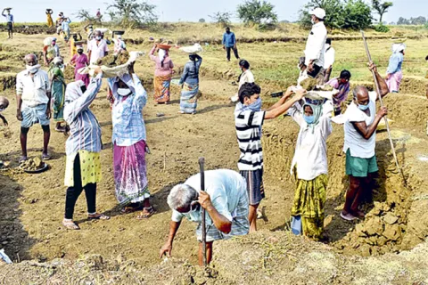 Self-Employment among Scheduled Castes in Telangana