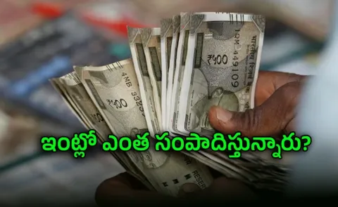 India To Conduct its First National Household Income Survey1