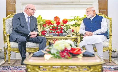 PM Narendra Modi Holds Bilateral Talks With Austrian Federal Chancellor
