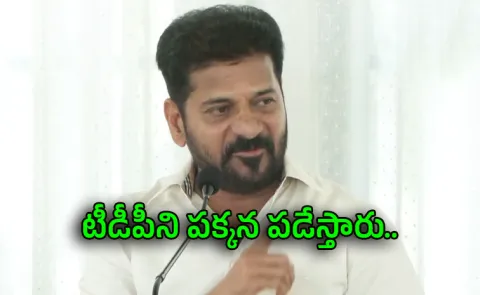 Revanth Reddy comments on Chandrababu naidu
